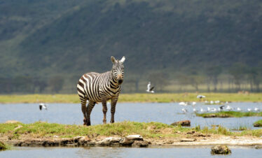 Enjoyable nature