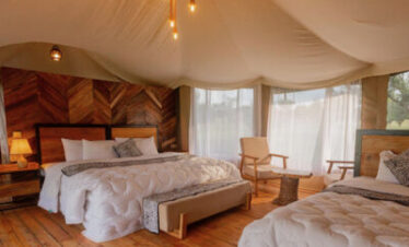 Enjoyable Nature Safaris