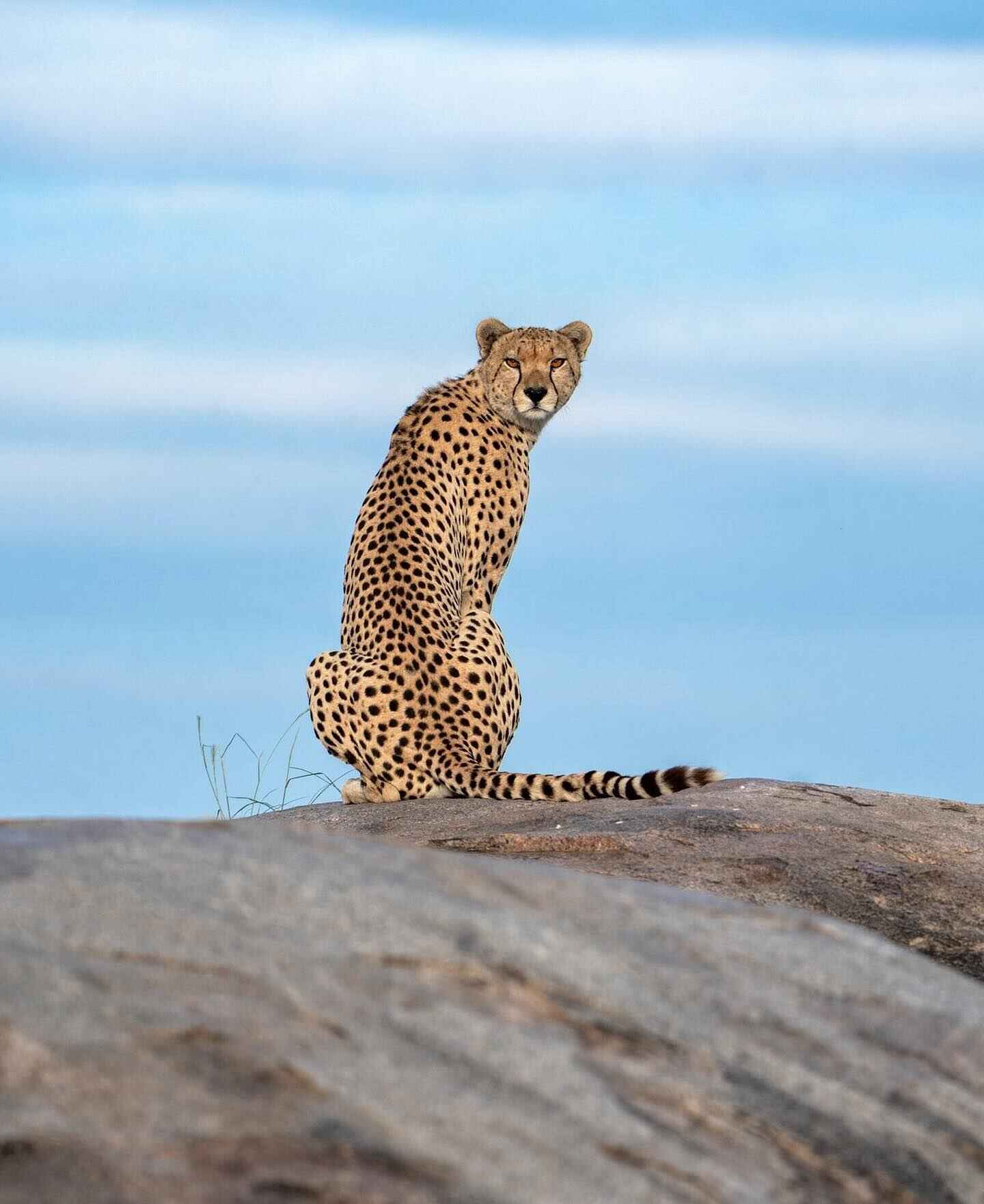 Enjoyable Nature Safaris